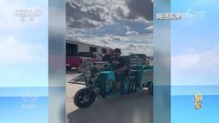 核心｜跨境电商“加快跑” 点燃外贸成长